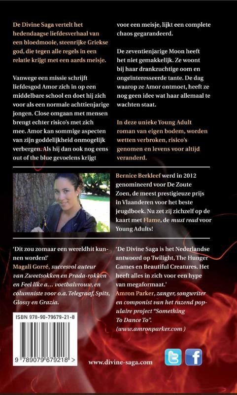 Flame / Devine Saga / 1 achterkant