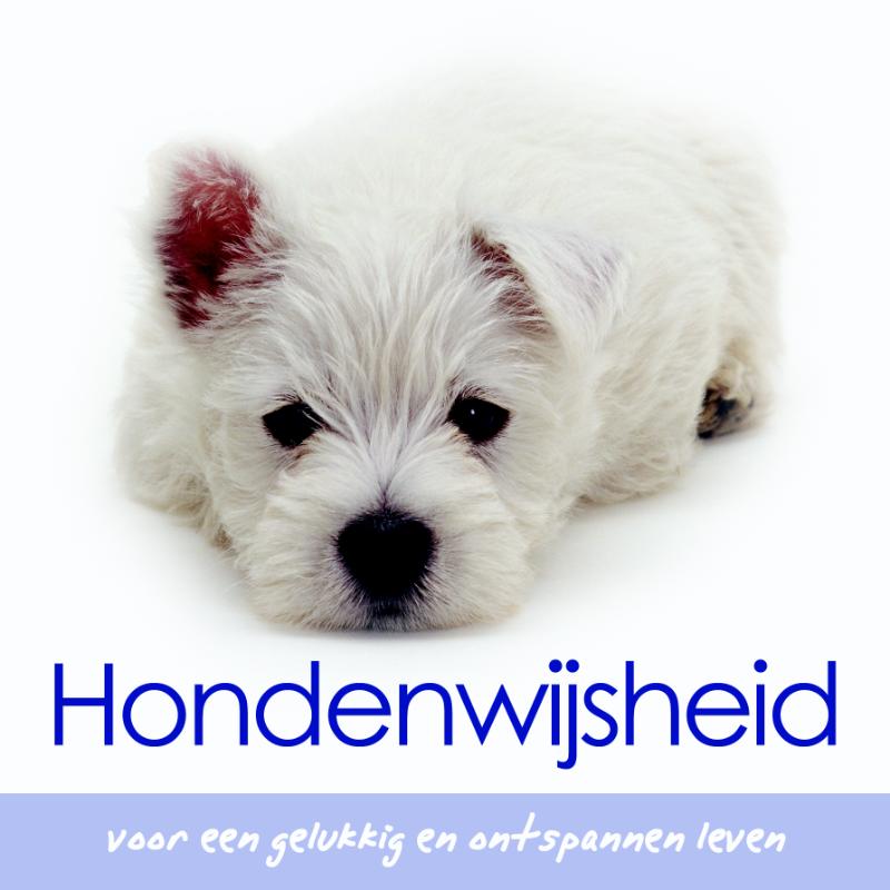 Hondenwijsheid