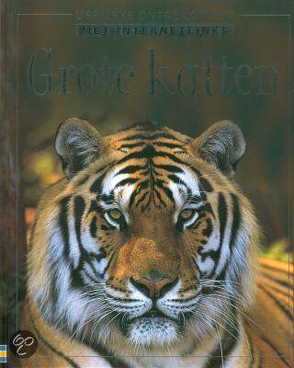 Grote katten / Usborne ontdekkingen