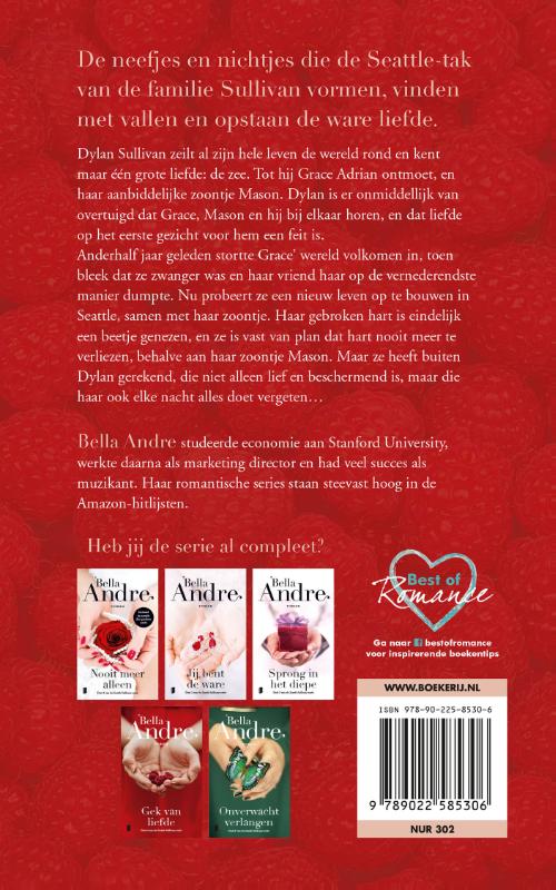 Gek van liefde / Seattle Sullivans / 4 achterkant