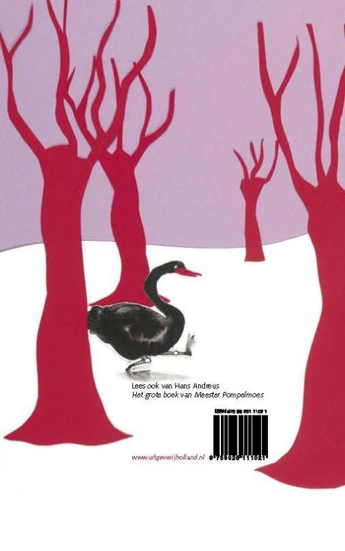 De laatste tovenaar achterkant