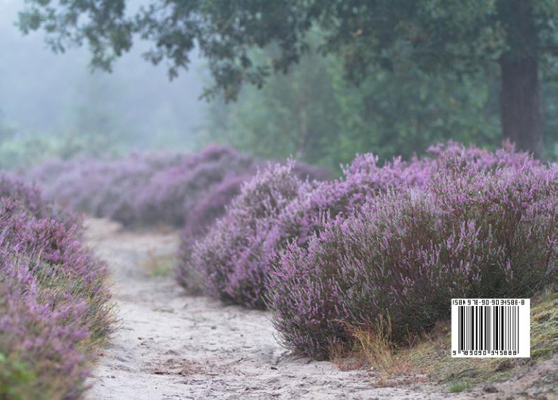 Drentse Parels, 150 tips! De mooiste plekjes en origineelste adressen achterkant