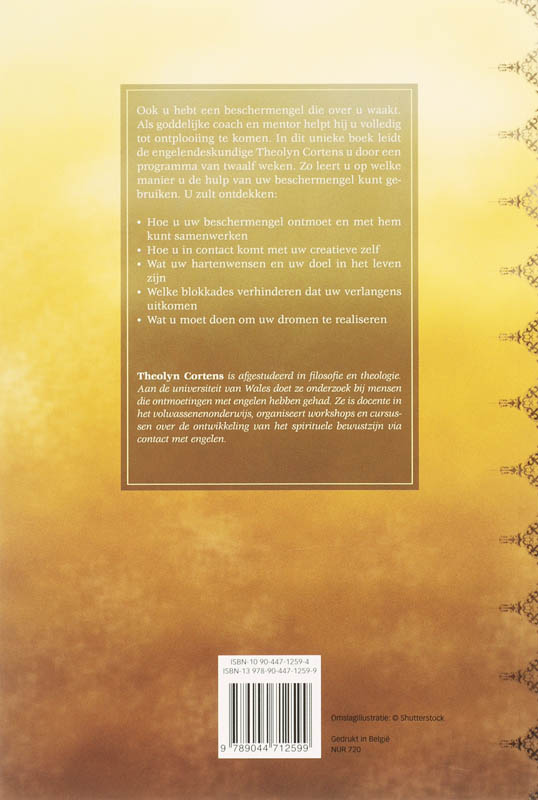 Uw beschermengel als levensgids achterkant