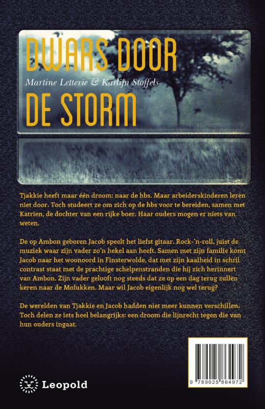 Dwars door de storm achterkant