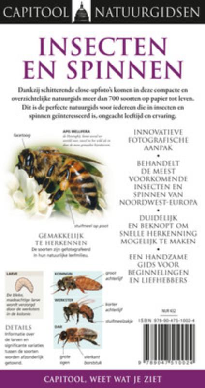 Capitool Veldgids Insecten En Spinnen achterkant
