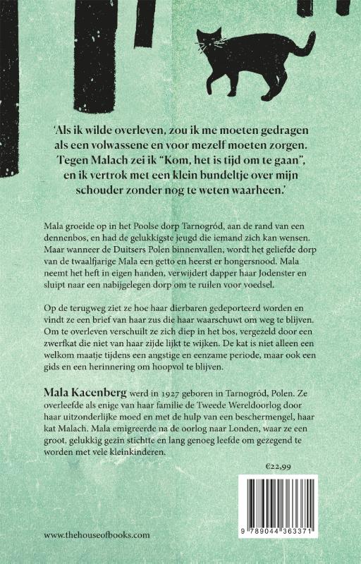 Het meisje, de kat en het bos achterkant