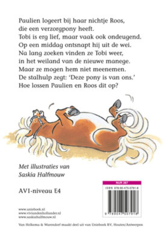 De Roskam Pony Met Streken achterkant