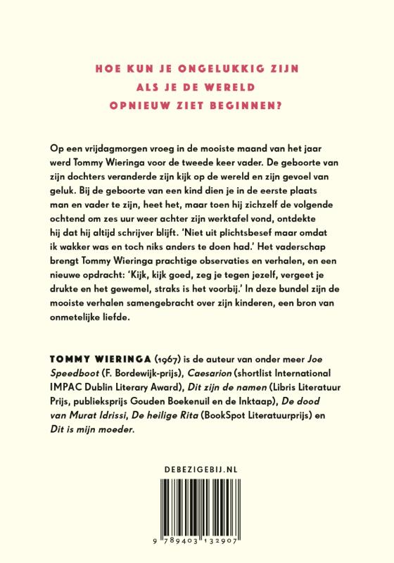 Totdat het voorbij is achterkant