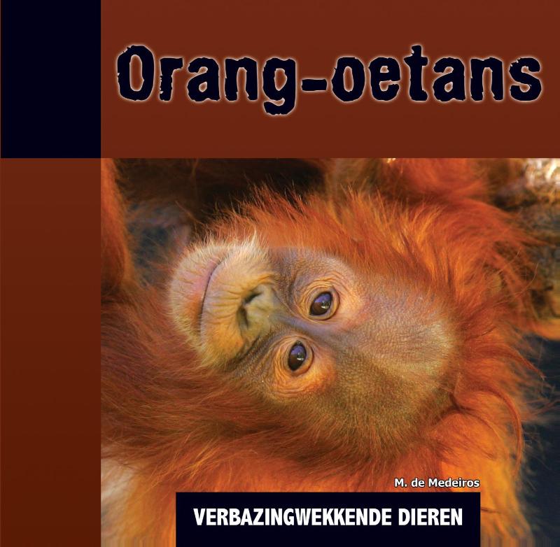 Orang-oetans / Verbazingwekkende dieren