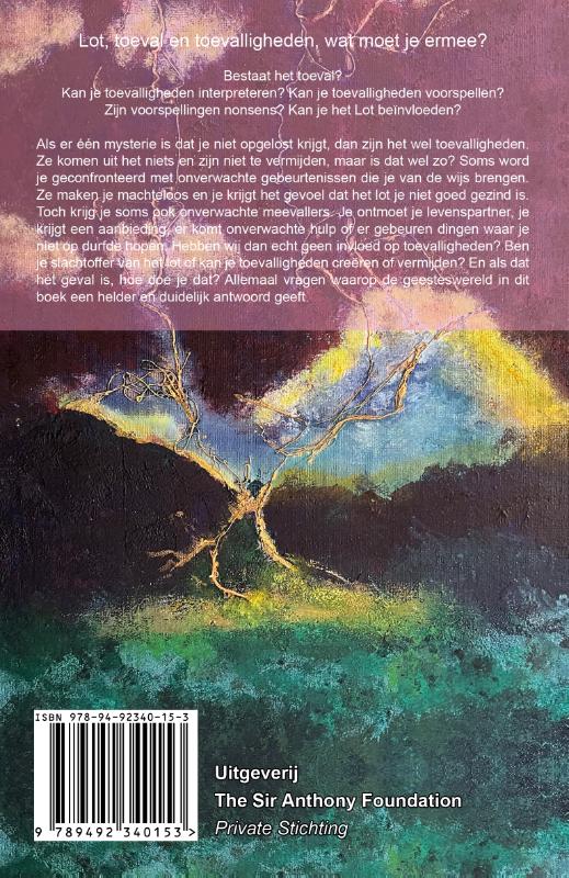 Wijzen toevalligheden de weg? achterkant