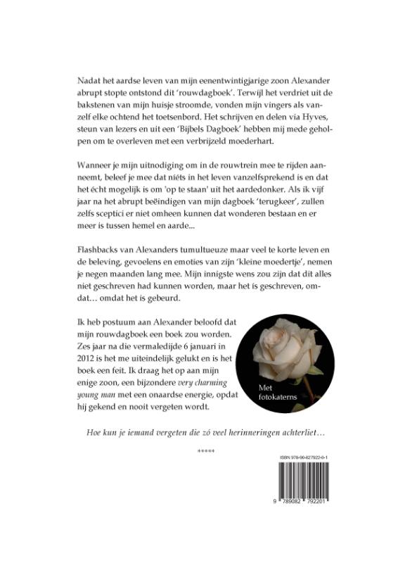 Abrupt gestopt achterkant