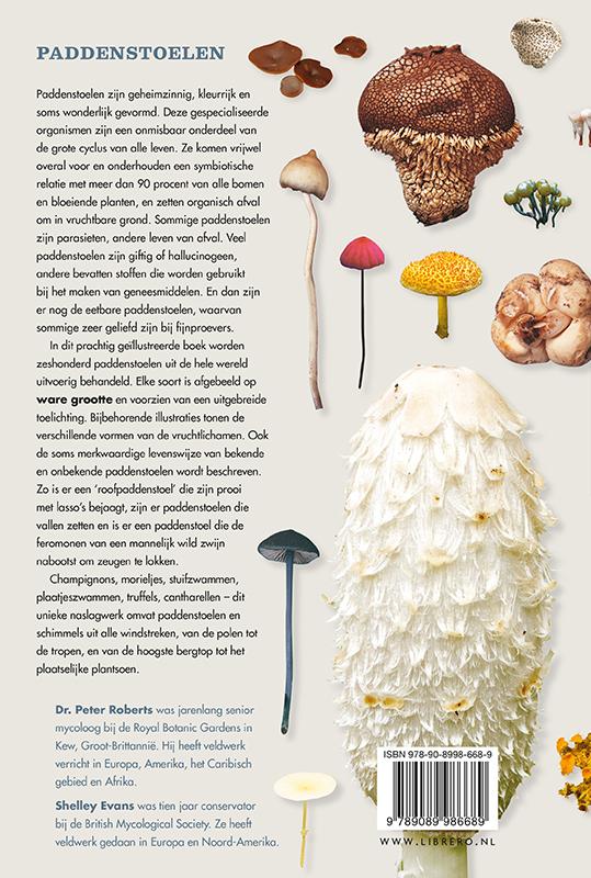 Paddenstoelen achterkant
