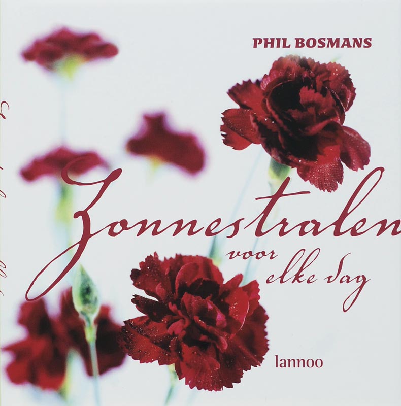 Zonnestralen voor elke dag