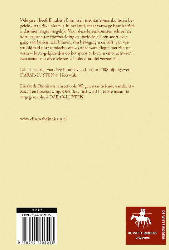 Brugjes naar de diepte achterkant