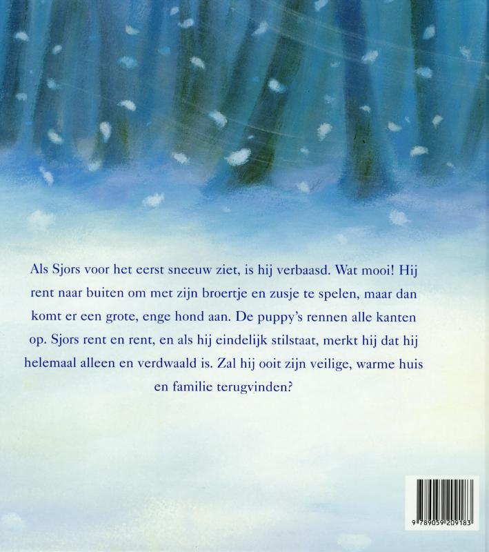 Verdwaald In De Sneeuw achterkant