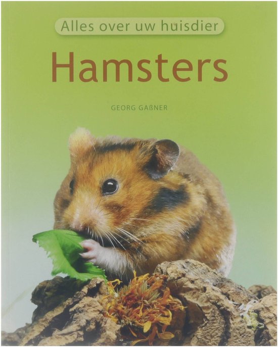 Hamsters