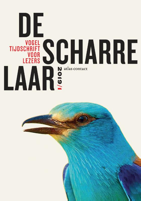 De Scharrelaar  -   De scharrelaar-2019/1