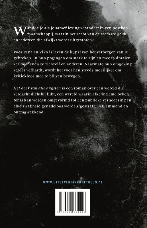 Het boek van alle angsten achterkant