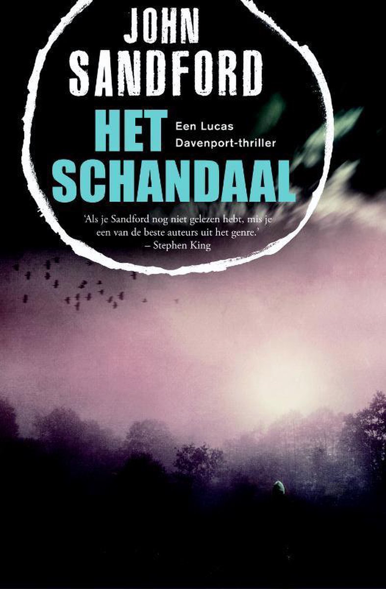 Het schandaal / Lucas Davenport / 31