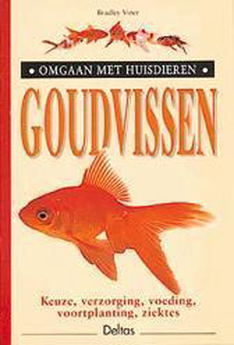 Goudvissen / Omgaan met huisdieren