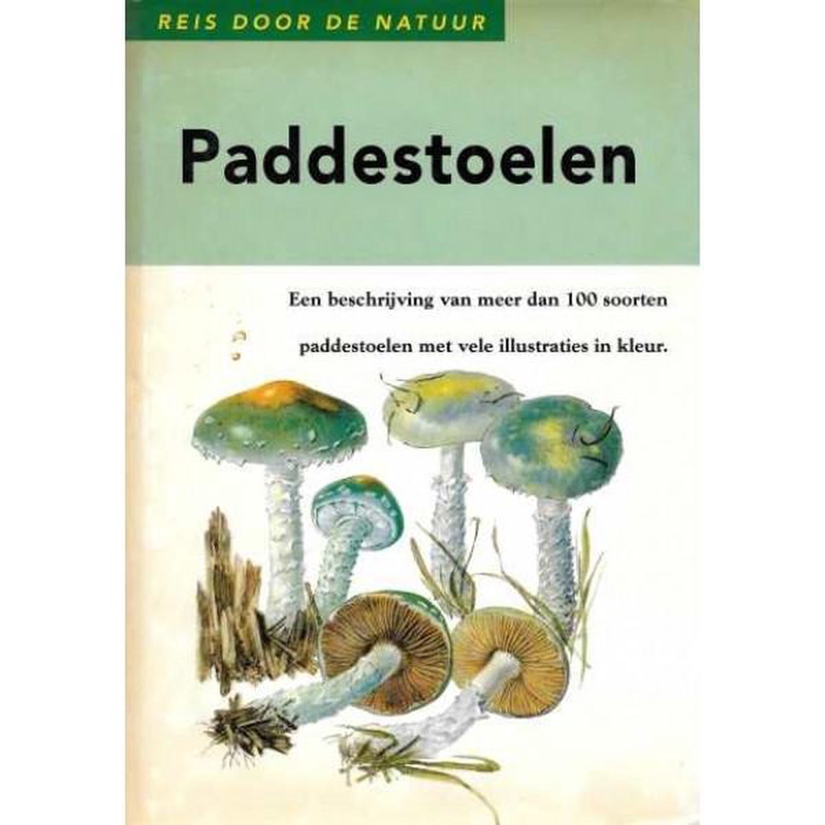 Paddestoelen