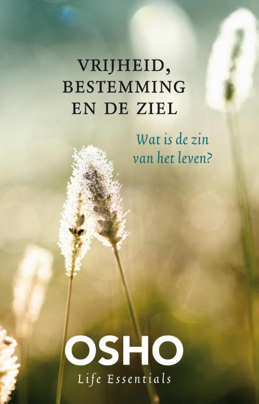 Vrijheid, bestemming en de ziel