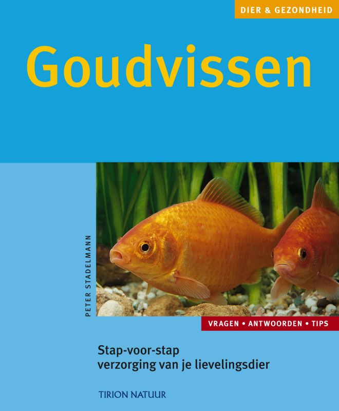 Goudvissen / Dier & Gezondheid