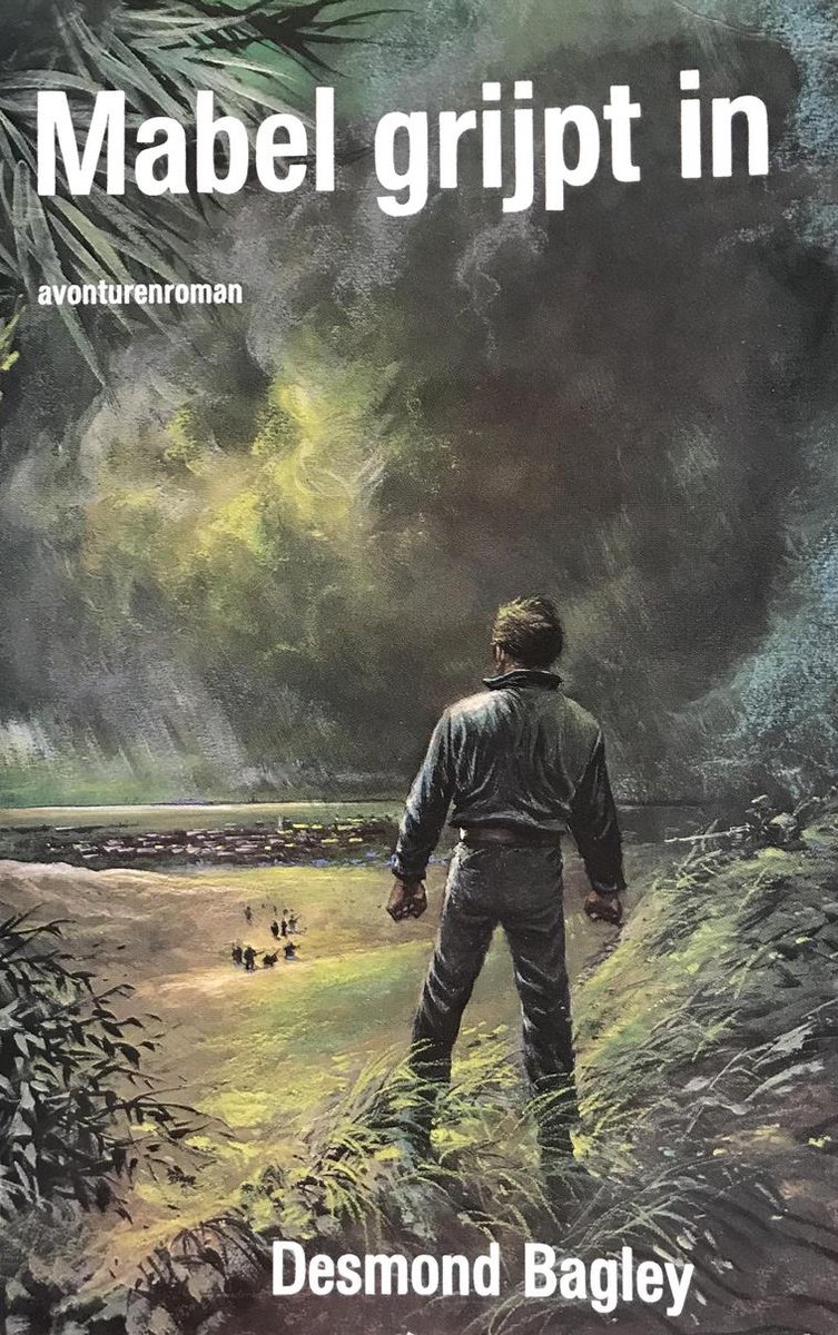 Orkaan Mabel grijpt in