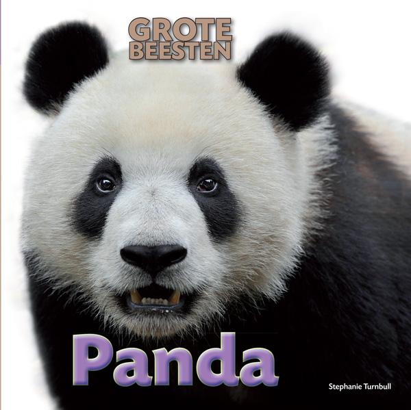 Panda / Grote Beesten