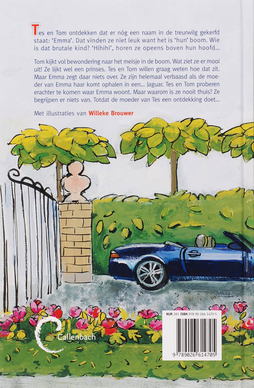 Het Boomraadsel achterkant