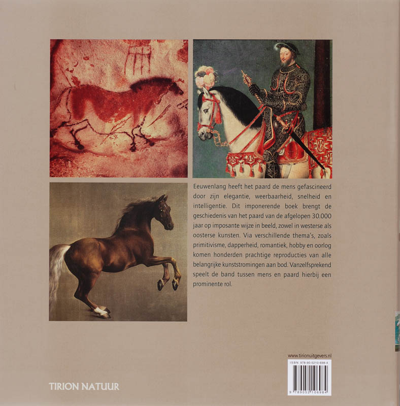 Paard In De Kunst achterkant