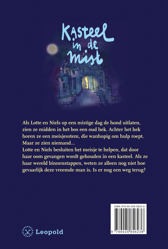 Kasteel in de mist achterkant