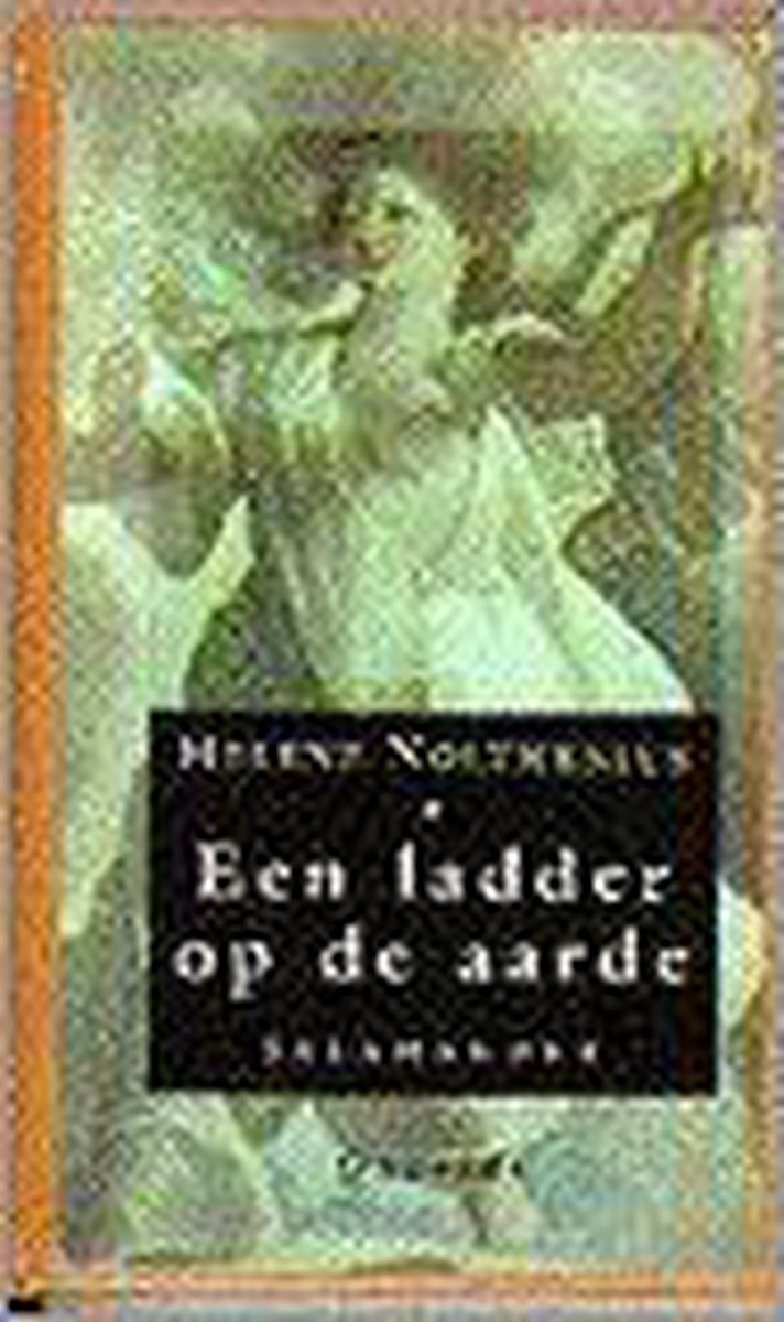 Een Ladder op de Aarde