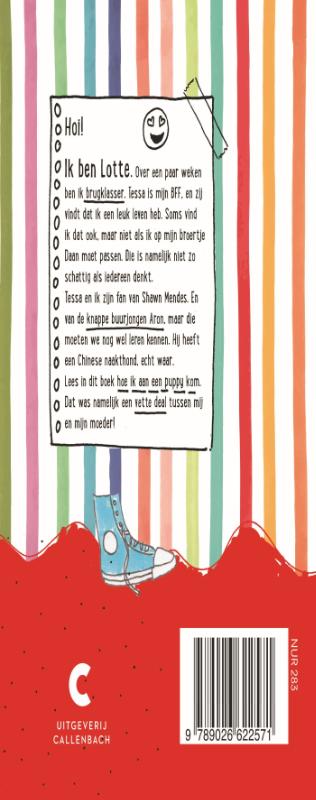 De verwoestende puppy / Lotte laat maar / 1 achterkant