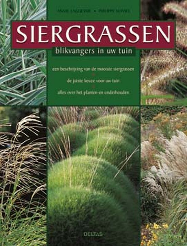 Siergrassen Blikvangers In Uw Tuin
