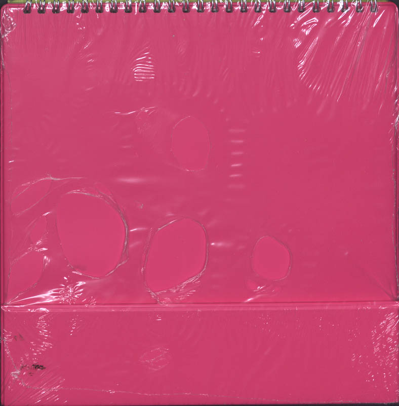 Alles telt-2e dr Kwismeester 4A achterkant