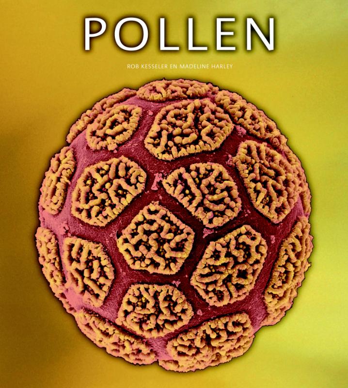 Pollen. De verborgen seksualiteit van planten