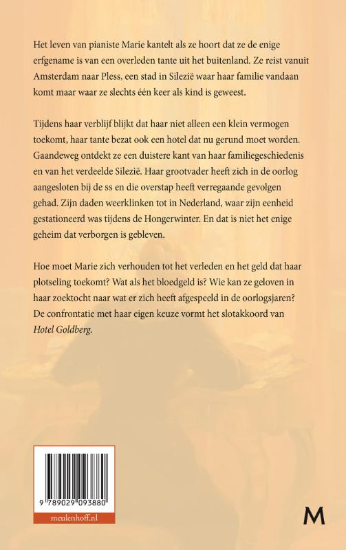 Hotel Goldberg achterkant