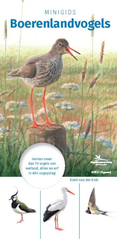 Minigids  -   Minigids Boerenlandvogels