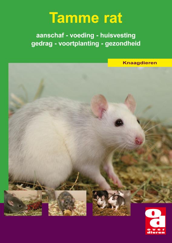 De tamme rat / Over Dieren