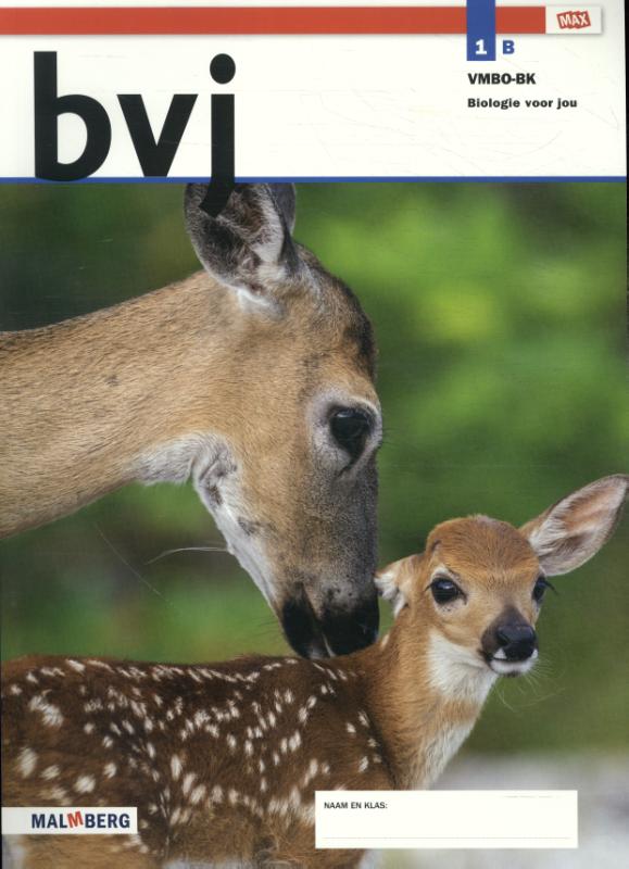 bvj 1 vmbo-BK deel B