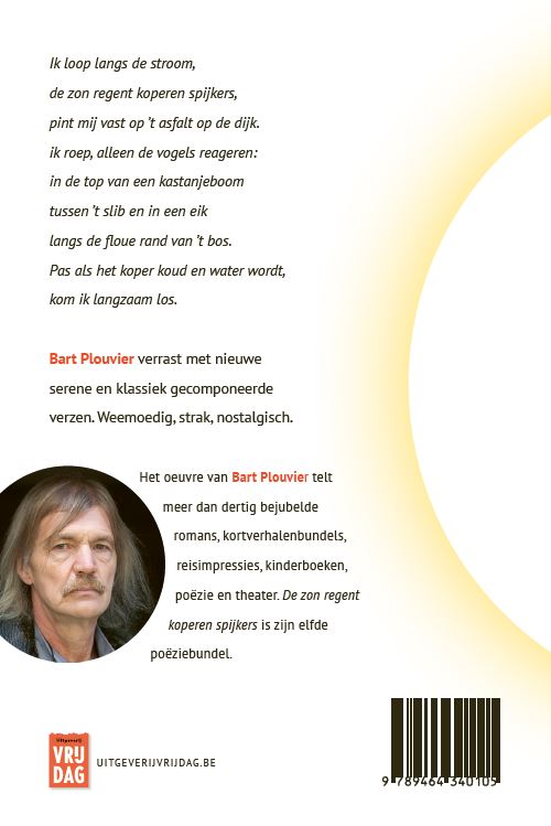 De zon regent koperen spijkers achterkant