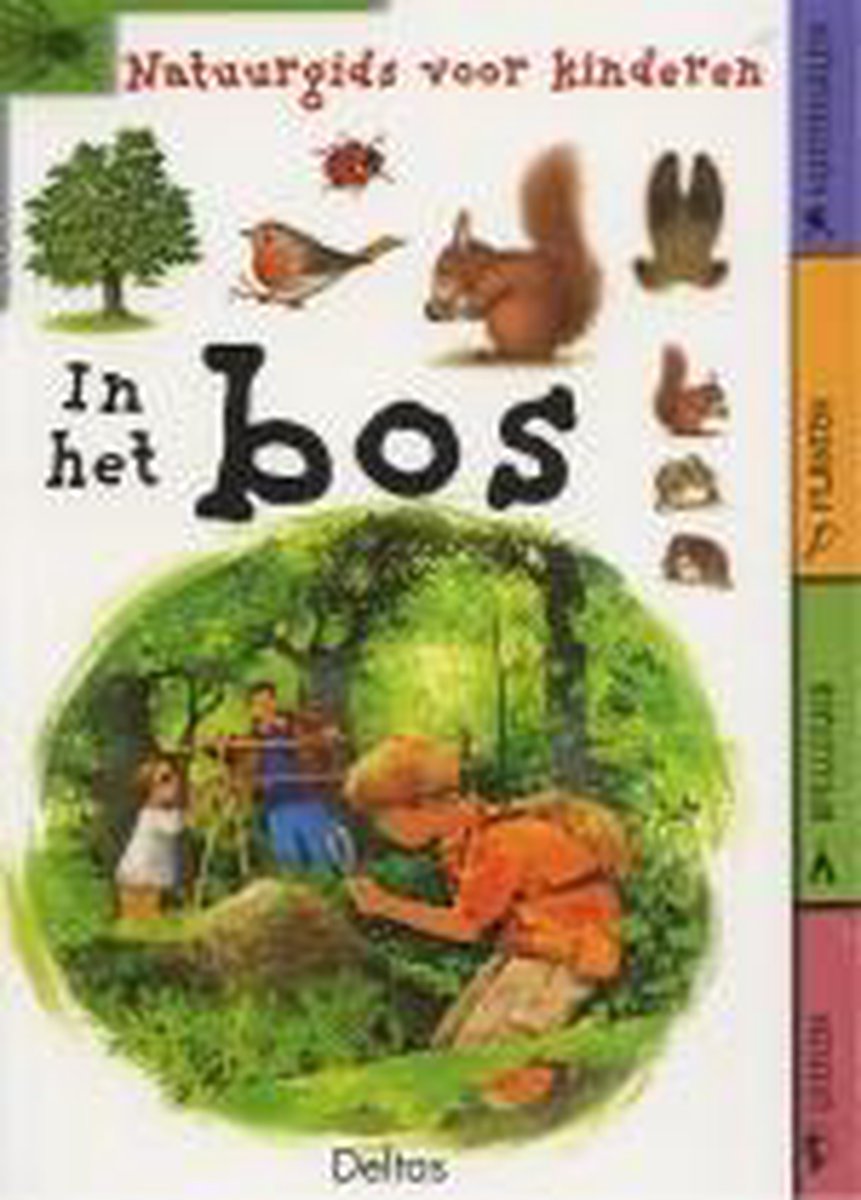 Natuurgids Voor Kinderen In Het Bos