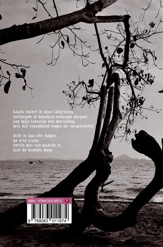 Tiktaalik achterkant