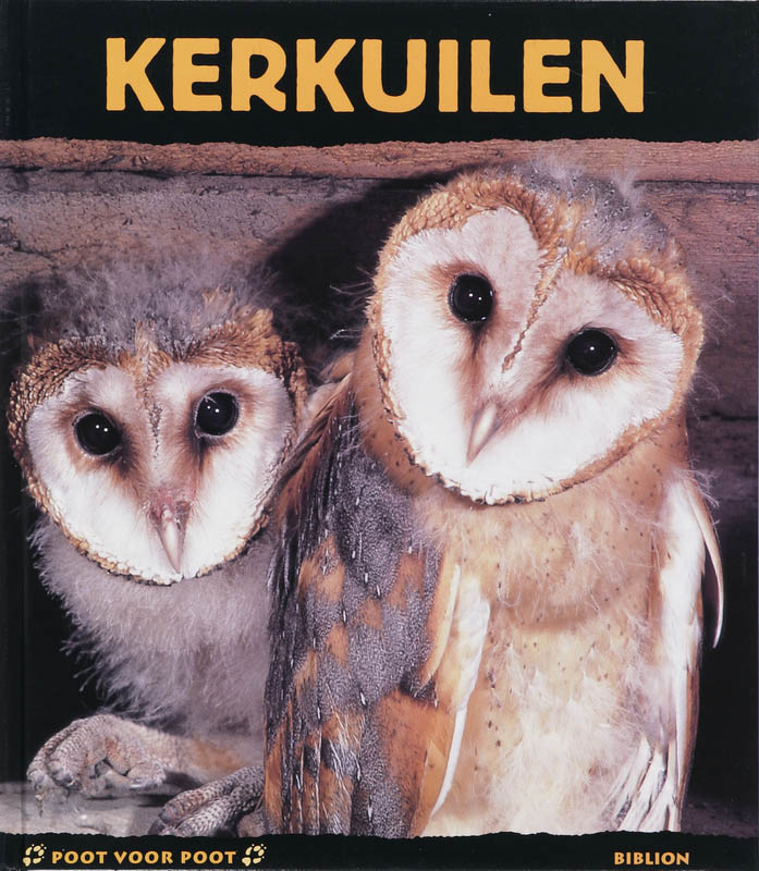 Kerkuilen