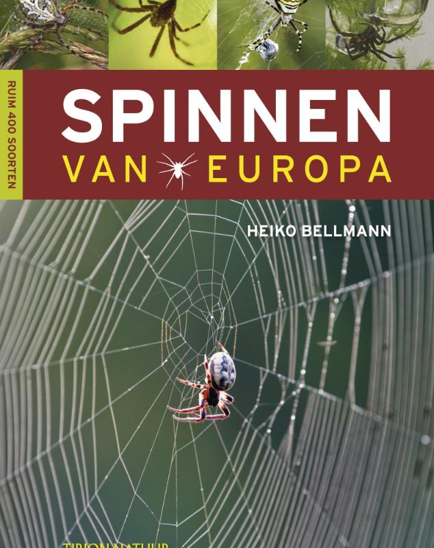 Spinnen van Europa / Tirion natuur