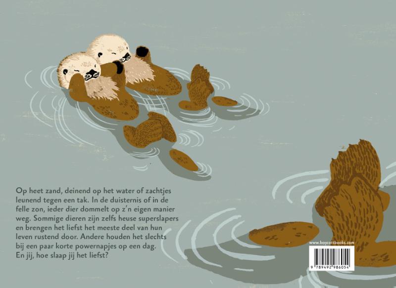 Zo slapen dieren achterkant