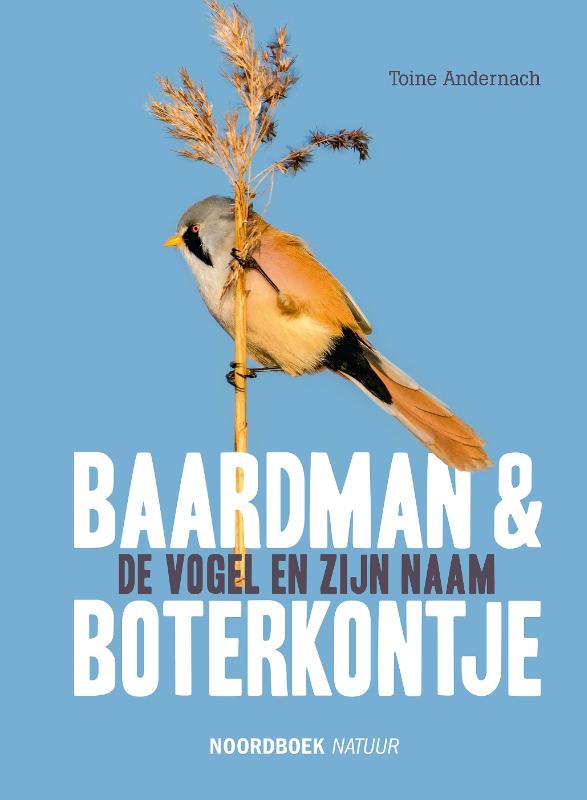 Baardman en boterkontje