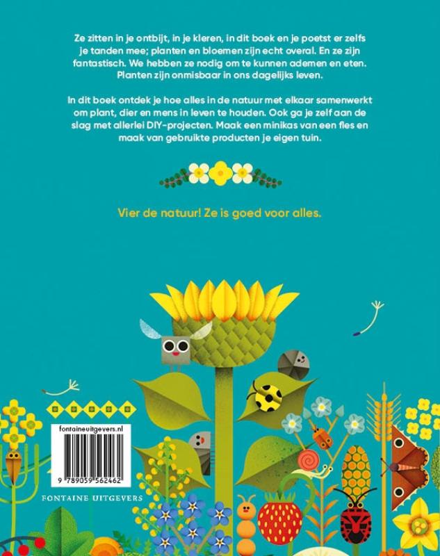 De zon op je bol achterkant