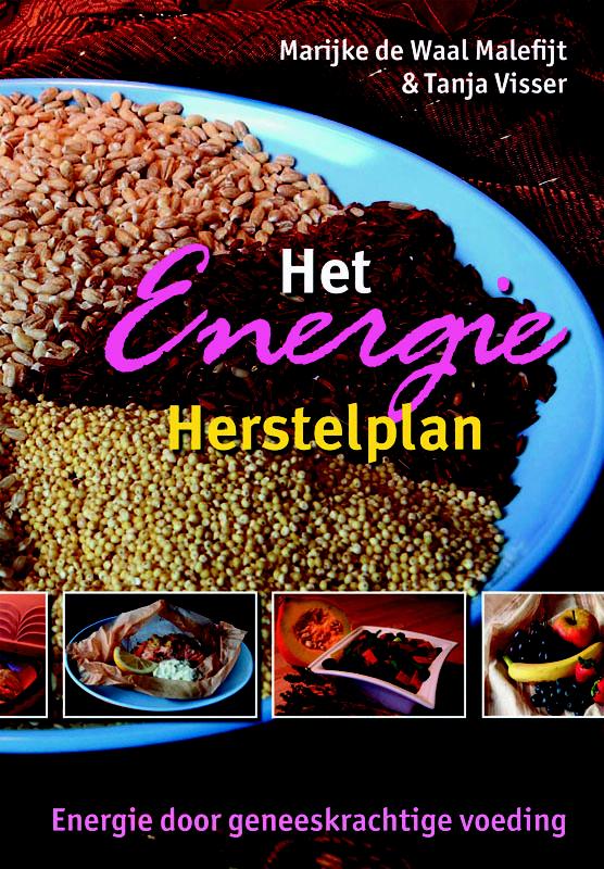 Het Energie Herstelplan